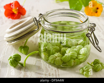 Préparation et préparation de graines de nasturtium fraîches et prélevées un décor de cuisine Banque D'Images