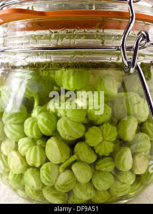 Préparation et préparation de graines de nasturtium fraîches et prélevées un décor de cuisine Banque D'Images