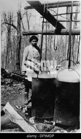 Cette photographie capture le processus de fabrication du sucre, mettant en valeur les machines et les méthodes utilisées dans la production de sucre à partir de matières premières. L'image donne un aperçu de l'industrie sucrière pendant sa phase opérationnelle. Banque D'Images