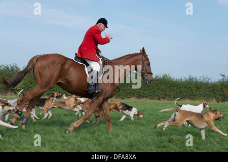 Le maître de la chasse avec l'exercice de l'Enfield Chace afficher hounds Banque D'Images