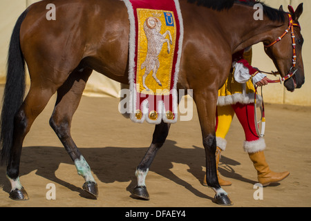 Défilés avant la course de chevaux du Palio à Il Campo (ville médiévale square), Sienne, Toscane, Italie. Banque D'Images