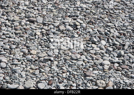 C'est la plage de galets située au sud de Gotland Visby en Suède. Banque D'Images