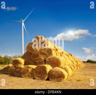 Meules sur le terrain. Moulin après la récolte. Banque D'Images