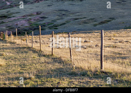 Fil de fer barbelé clôture du bétail dans le Colorado mountain ranch - fin de l'été ou automne Banque D'Images