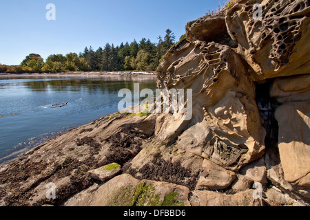 Formation rocheuse unique de grès sur l'île de San Juan Sucia archipel dans l'État de Washington Banque D'Images