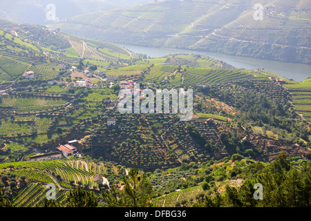 Vues de Quinta Nova de vignes,Estate,fleuve Douro,vignes,terrasses,Villages,bateaux de rivière,Boutique,Hôtels,Pinhao Nord du Portugal Banque D'Images