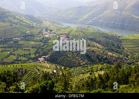 Vues de Quinta Nova de vignes,Estate,fleuve Douro,vignes,terrasses,Villages,bateaux de rivière,Boutique,Hôtels,Pinhao Nord du Portugal Banque D'Images