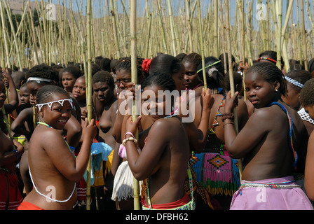 Des milliers Zulu maidens participer à Reed Dance où les filles après avoir subi un test de virginité jeter roseaux roi Goodwill Banque D'Images
