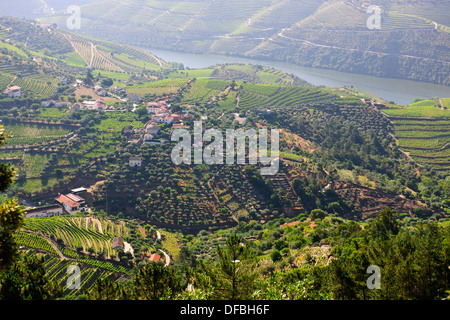 Vues de Quinta Nova de vignes,Estate,fleuve Douro,vignes,terrasses,Villages,bateaux de rivière,Boutique,Hôtels,Pinhao Nord du Portugal Banque D'Images