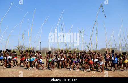 Des milliers Zulu maidens participer à Reed Dance où les filles après avoir subi un test de virginité jeter roseaux roi Goodwill Banque D'Images