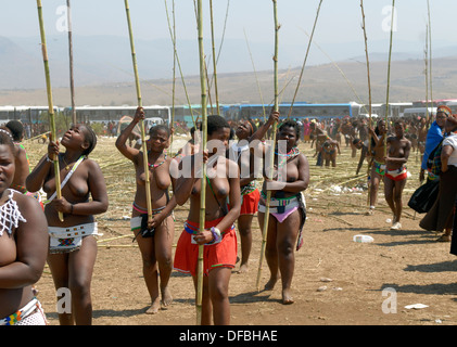 Des milliers Zulu maidens participer à Reed Dance où les filles après avoir subi un test de virginité jeter roseaux roi Goodwill Banque D'Images