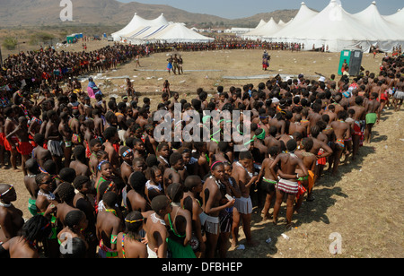 Des milliers Zulu maidens participer à Reed Dance où les filles après avoir subi un test de virginité jeter roseaux roi Goodwill Banque D'Images