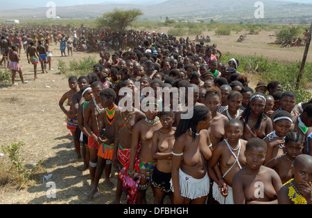 Des milliers Zulu maidens participer à Reed Dance où les filles après avoir subi un test de virginité jeter roseaux roi Goodwill Banque D'Images