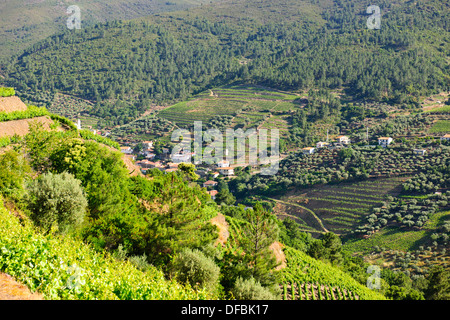 Vues de Quinta Nova de vignes,Estate,fleuve Douro,vignes,terrasses,Villages,bateaux de rivière,Boutique,Hôtels,Pinhao Nord du Portugal Banque D'Images