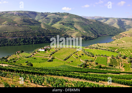 Vues de Quinta Nova de vignes,Estate,fleuve Douro,vignes,terrasses,Villages,bateaux de rivière,Boutique,Hôtels,Pinhao Nord du Portugal Banque D'Images