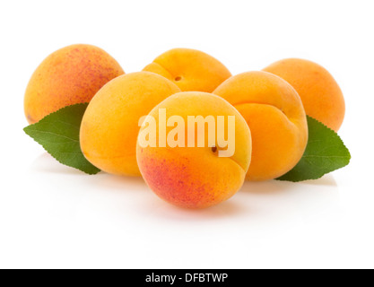 Fruit abricot isolé sur fond blanc Banque D'Images