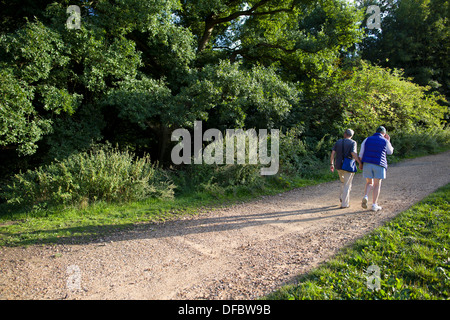UK, Londres : vieux couple hors marche sur Hampstead Heath à Londres le 28 août 2013. Banque D'Images