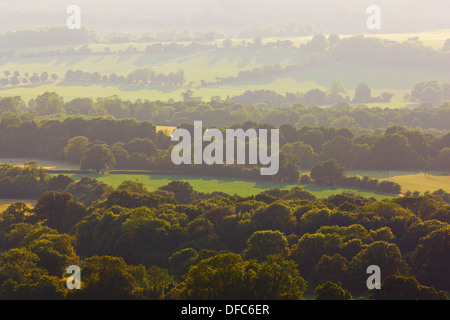 La lumière du soleil de fin de soirée et la brume à la recherche au-dessus des cimes des arbres de la vieille Winchester Hill sur les South Downs dans le Hampshire, au Royaume-Uni. Banque D'Images