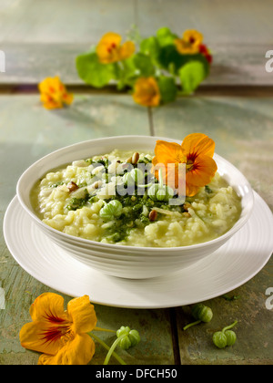 Risotto au Pesto de Capucine Banque D'Images