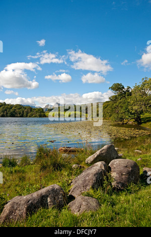 Vue de Loughrigg Tarn à Langdale Pikes en été Lake District National Park Cumbria Angleterre Royaume-Uni GB Grande-Bretagne Banque D'Images