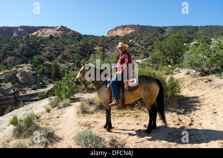 Cowboy moderne de jour sur l'équitation son cheval dans le désert près de la Colorado National Monument, Colorado, USA Banque D'Images