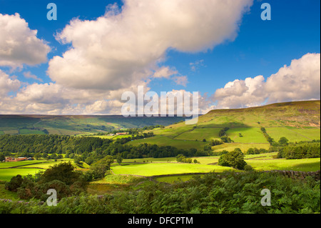 Vue sur Farndale. Le Parc National de North York, North Yorkshire, Angleterre Banque D'Images