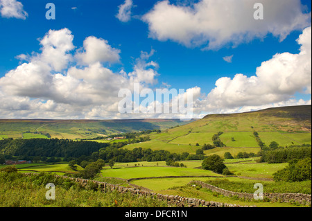 Vue sur Farndale. Le Parc National de North York, North Yorkshire, Angleterre Banque D'Images