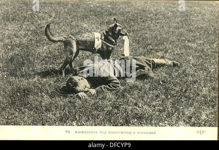 La Première Guerre mondiale carte postale d'un chien d'ambulance à la découverte d'un soldat blessé Banque D'Images