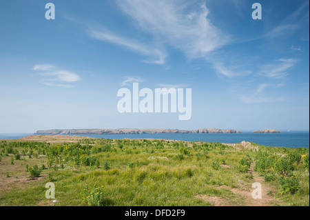 Vue sur Skokholm vers Skomer Sud, Pembrokeshire, Pays de Galles, Royaume-Uni Banque D'Images