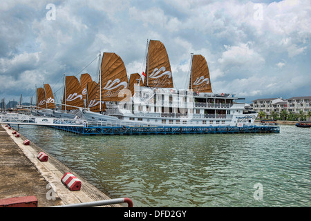 Jonque traditionnelle voile en Baie d'Halong, Vietnam Banque D'Images