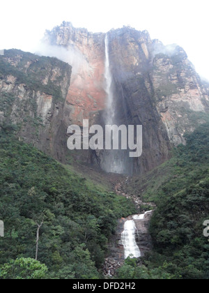 Angel Falls / Salto de Angel, Parc national Canaima, Venezuela Banque D'Images