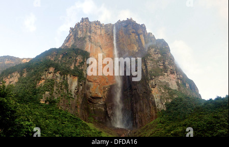 Angel Falls / Salto de Angel, Parc national Canaima, Venezuela Banque D'Images