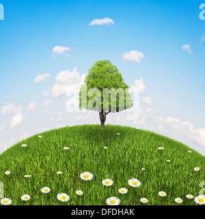 Debout sur un arbre sur la butte d'herbe et de marguerites Banque D'Images