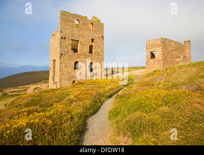 Papule Coates tin mine ruines St Agnes Cornwall Angleterre Tête Banque D'Images