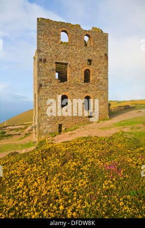 Papule Coates tin mine ruines St Agnes Cornwall Angleterre Tête Banque D'Images