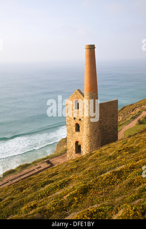 Roath Towan Engine House ruines à papule Coates tin mine, St Agnes Tête, Cornwall, Angleterre Banque D'Images