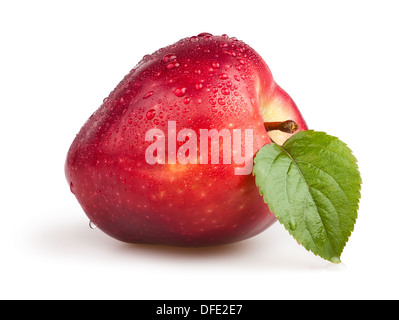 Feuille rouge apple gouttes sur fond blanc Banque D'Images