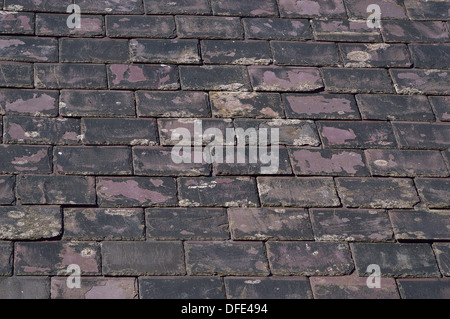 Carreaux en ardoise sur un vieux toit en 'vieux' Staithes Banque D'Images