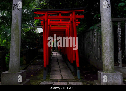 Torii gates (culte gates) de shirine Nezu Banque D'Images