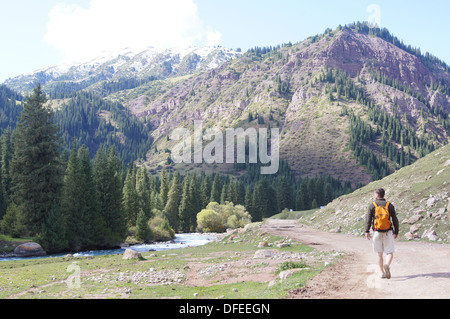 Jeti Oguz vallée près de Karakol, Kirghizistan Banque D'Images