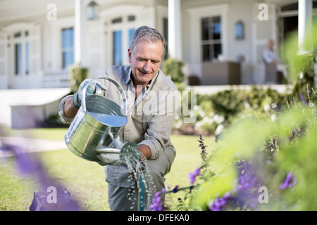 Senior man watering plants in garden Banque D'Images