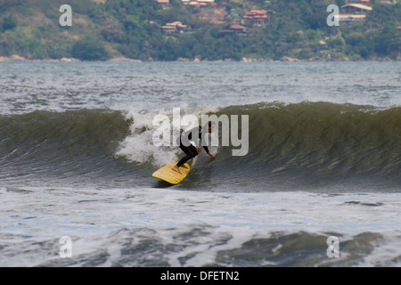 Surf à Guaeca plage, rive nord de l'Etat de Sao Paulo, Brésil Banque D'Images