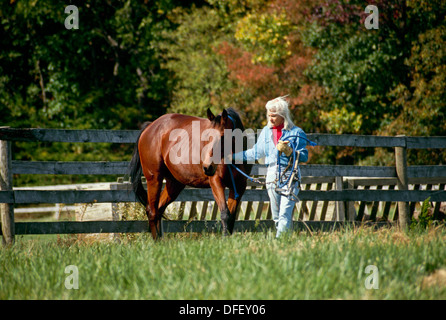 Femme conduit son cheval sur une belle journée d'automne, Midwest USA Banque D'Images