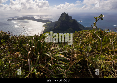 À la recherche sur l'île Lord Howe depuis le sommet du Mont Gower, l'île Lord Howe, NSW, Australie Banque D'Images