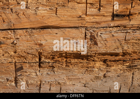 Très vieux mur bois texture background Banque D'Images