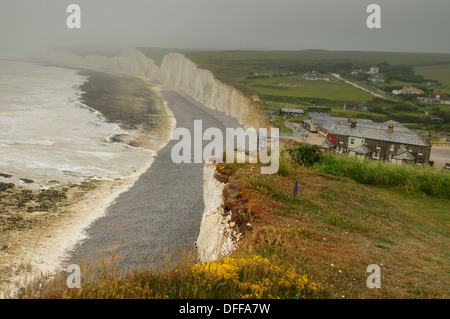 Sea mist enveloppes les Sept Soeurs près de Urrugne, East Sussex, UK.fleurs sauvages ornent le bord de la falaise. Banque D'Images