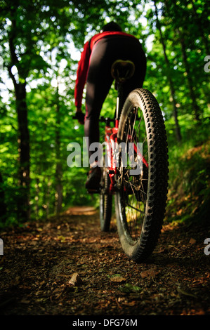 Vue arrière d'une jeune femme équitation un vélo de montagne, dans une forêt, en Pologne. Banque D'Images