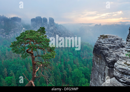 Vue à partir de la Bastei rock formation, le Parc National de la Suisse Saxonne, Suisse Saxonne, Saxe, Allemagne Banque D'Images