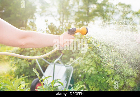 Femme avec l'arrosage des plantes d'arrosage et d'installation sprinkleur Banque D'Images