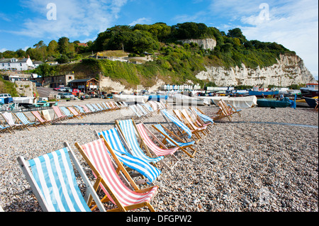 Des rangées de chaises longues sur la plage de galets à Beer Devon England UK Banque D'Images